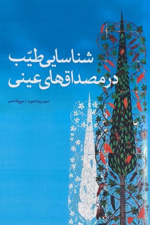 شناسایی طیب در مصداق های عینی
