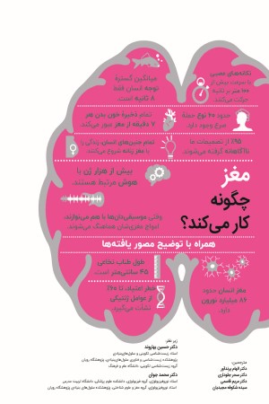 مغز چگونه کار میکند؟
