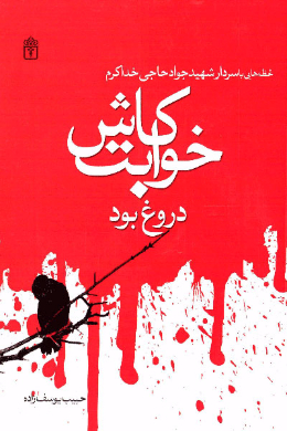 کاش خوابت دروغ بود(شهید خداکرم)
