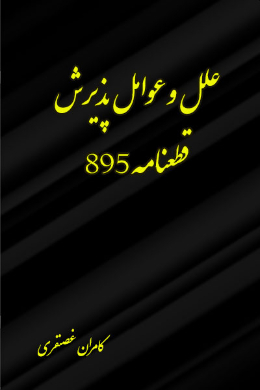 علل و عوامل پذیرش قطعنامه 895