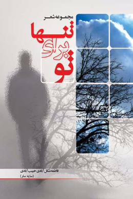تنها برای تو