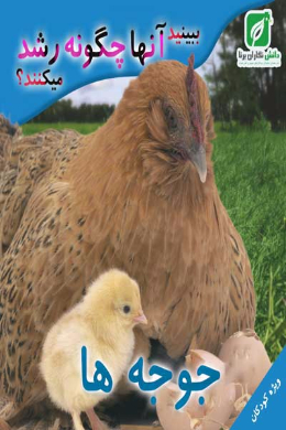 ببینید آنها چگونه رشد میکنند؟ (جوجه ها)