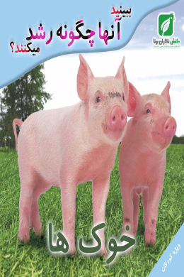 ببینید آنها چگونه رشد میکنند؟ (خوک ها)