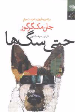 حتی سگ ها