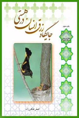 جایگاه رزق انسان در هستی