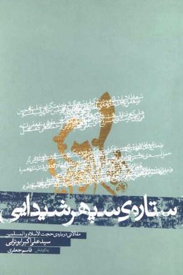 ستاره سپهر شیدایی (مقالاتی درباره حجت الاسلام و المسلمین سید علی اکبر ابوترابی)