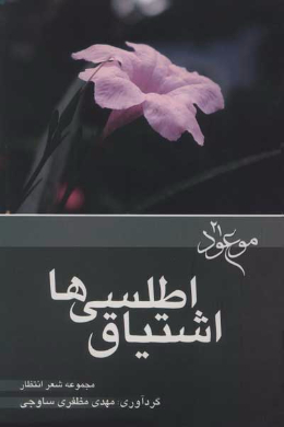 اشتیاق اطلسی ها