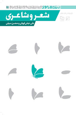 شعر و شاعری (مجموعه از نگاه نبوی (ص)) (جلد دوازدهم)