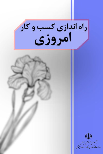 راه اندازی کسب و کار امروزی