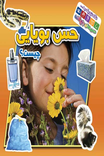 نگاه نزدیک به حس های پنجگانه : حس بویایی چیست؟