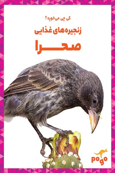 کی چی می خوره؟ : زنجیره های غذایی صحرا