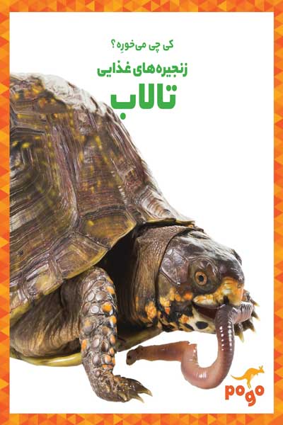 کی چی می خوره؟ : زنجیره های غذایی تالاب
