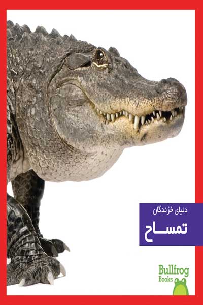 دنیای خزندگان : تمساح