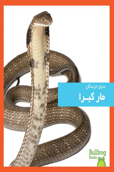 دنیای خزندگان : مار کبرا
