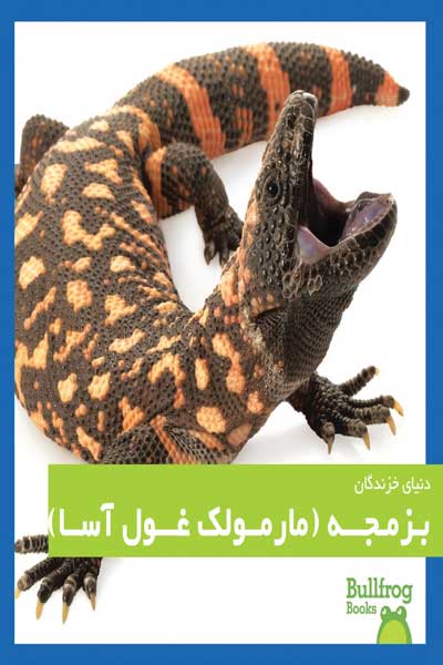 دنیای خزندگان : بزمجه (مارمولک غول آسا)
