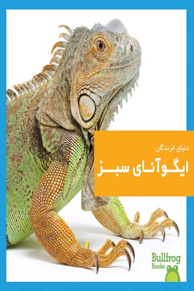 دنیای خزندگان : ایگوآنای سبز