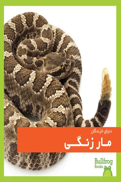 دنیای خزندگان : مار زنگی