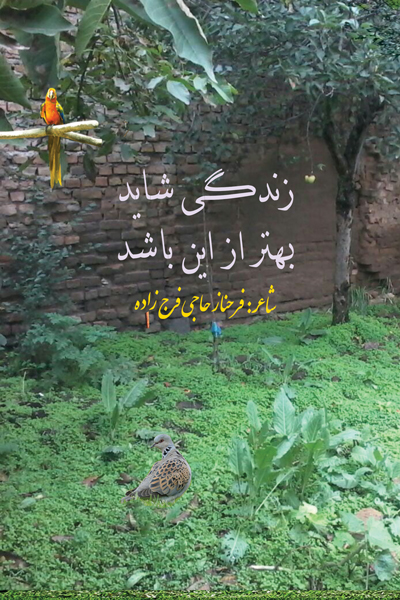 زندگی شاید بهتر از این باشد