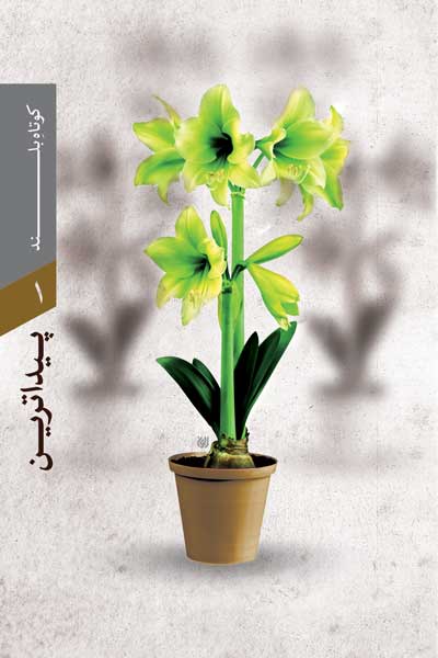 پیداترین