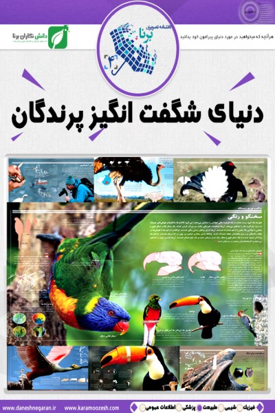 دانشنامه تصویری دنیای شگفت&zwnj;انگیز پرندگان