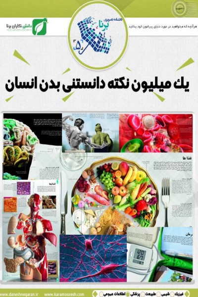 دانشنامه تصویری: یک میلیون نکته دانستنی بدن انسان