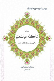شاکله حیات دنیا (با محوریت سوره تکاثر و حدید)