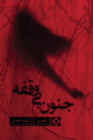 جنون بی وقفه (مجموعه شعر)