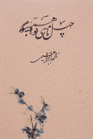 چهل نامه کوتاه به همسرم