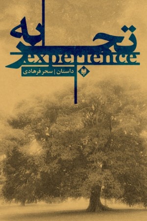 تجربه