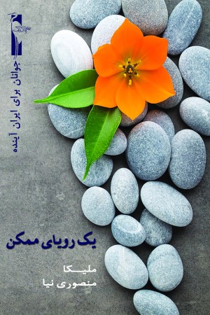 یک رویای ممکن