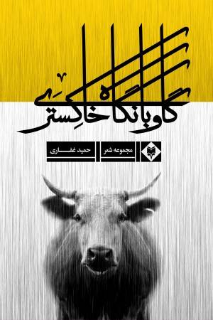 گاو با نگاه خاکستری