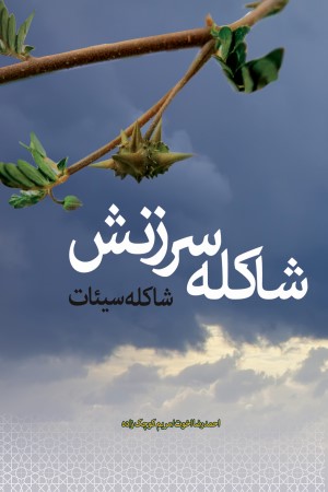 شاکله سرزنش، شاکله سیئات