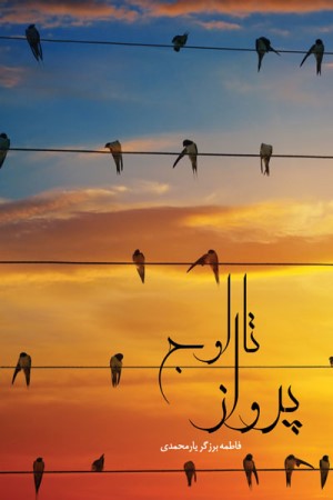 پرواز تا اوج