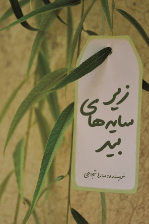 زیر سایه های بید