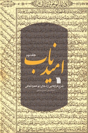 امید ناب: شرح فرازهایی از دعای ابوحمزه ثمالی (جلد 2)