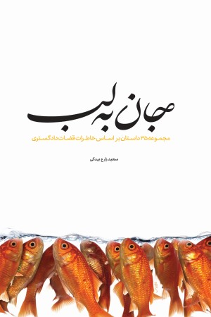 جان به لب: مجموعه 35 داستان بر اساس خاطرات قضات دادگستری