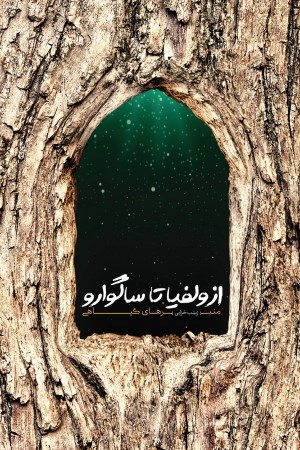 از ولفیا تا ساگوارو