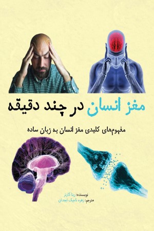 مغز انسان در چند دقیقه